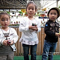 2012-0329-新竹關西-金勇DIY蕃茄農場 (37)