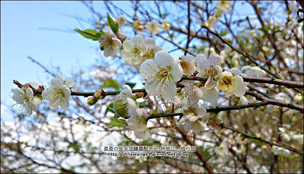 2014-0101-桃園-角板山公園 (30).jpg