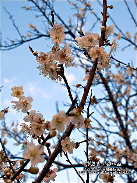 2014-0101-桃園-角板山公園 (34).jpg