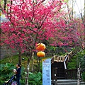 2014-0131-谷關溫泉公園 (10).jpg