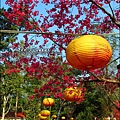 2014-0131-谷關溫泉公園 (18).jpg