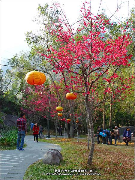 2014-0131-谷關溫泉公園 (22).jpg