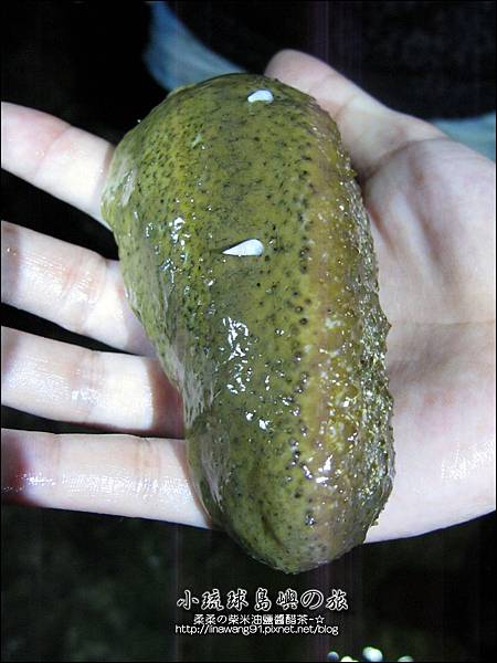 2014-0525-屏東-小琉球-夜間潮間帶 (8).jpg