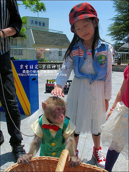 2014-0502-日本-神戶-北野町異人館-風見雞館 (2).jpg