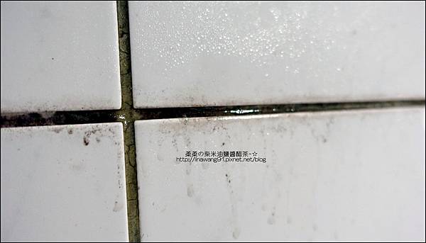 2014-0809-英國Morphy Richards-9合1複合式蒸氣拖把 (14).jpg