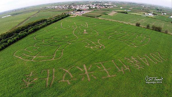 2014-1228-嘉義-義竹-玉米迷宮 (38)