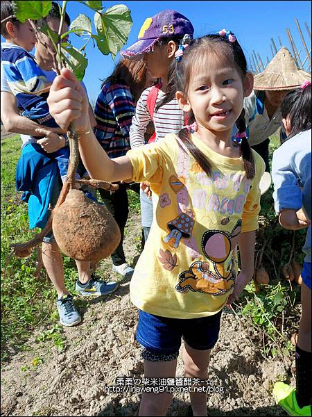 2014-1122-南埔芥菜節 (17)