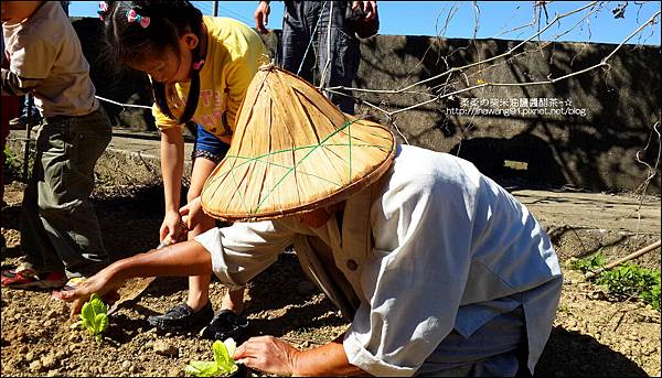 2014-1122-南埔芥菜節 (25)