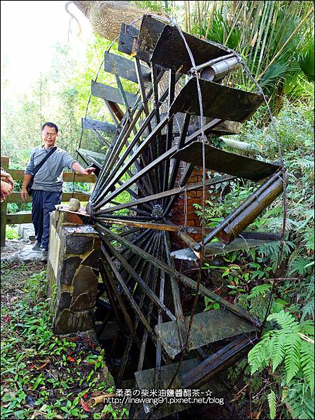 2014-1122-南埔芥菜節 (34)