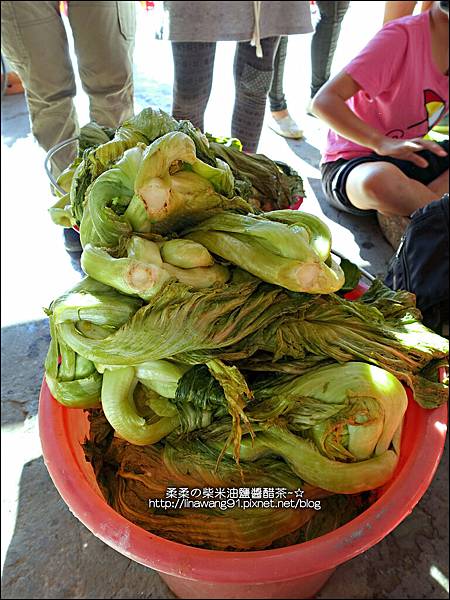 2014-1122-南埔芥菜節 (40)