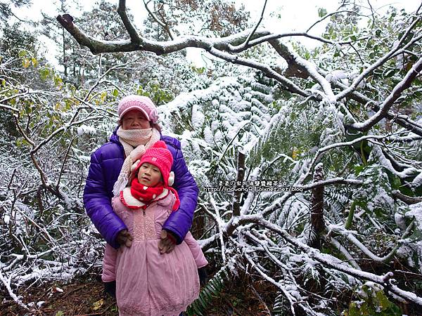 2016-0124-橫山-大山背雪景 (8).jpg