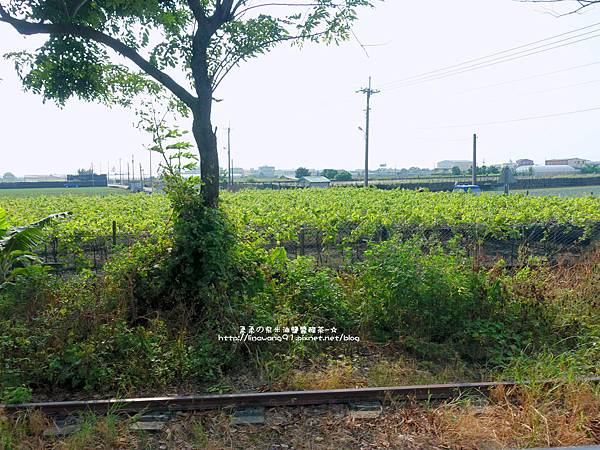 2015-0712-彰化-溪湖糖廠 (10).jpg
