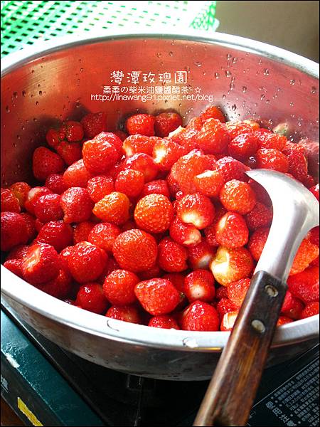 2011-0226-灣潭玫瑰草莓園 (25).jpg