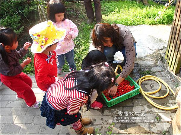 2011-0226-灣潭玫瑰草莓園 (24).jpg