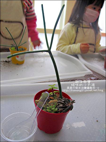 媽咪小太陽親子聚會-2011-0110-綠色-多肉植物 (15).jpg