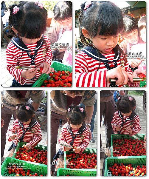 2011-0226-灣潭玫瑰草莓園 (63).jpg