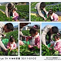 2011-0102-大湖採草莓 (30).jpg