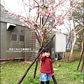 2011-0223-新竹公園-賞櫻花 (4).jpg