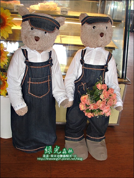 2010-0324-桃園-綠光森林 (41).jpg