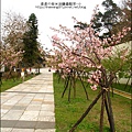 2011-0223-新竹公園-賞櫻花 (3).jpg
