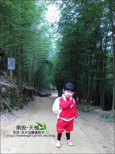 2010-0608-南投-天梯 (5).jpg