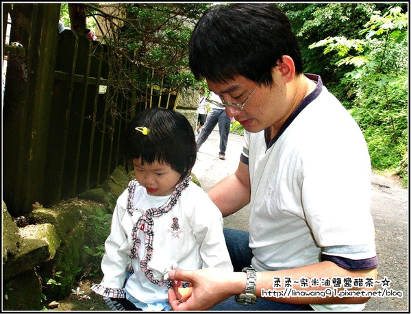 油桐花坊 (7).jpg