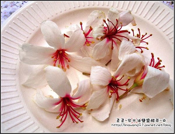 油桐花坊 (42).jpg