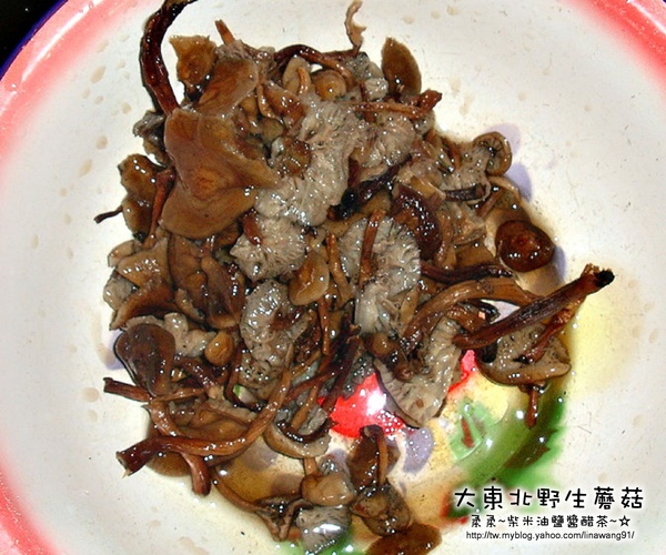 大陸-青島-四哥家-大東北採的野生蘑菇.jpg