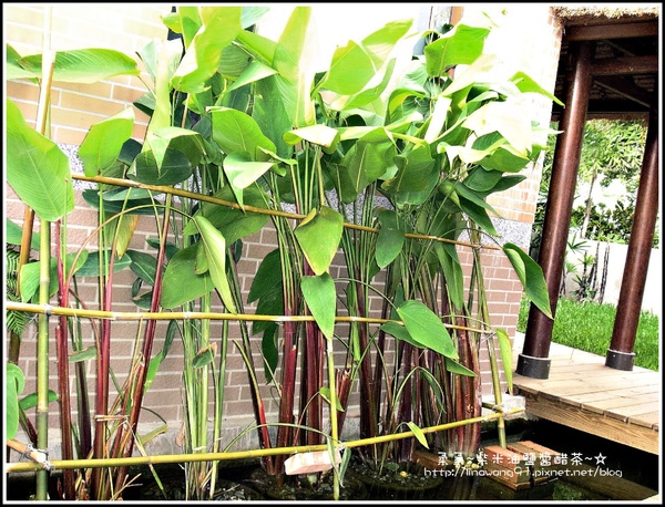 2009-0706-六星集villa spa會館 (10).jpg