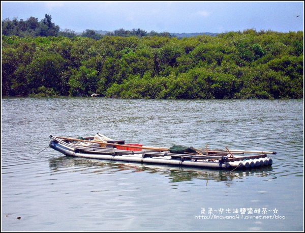 2009-0823-新豐紅毛港紅樹林遊憩區.jpg