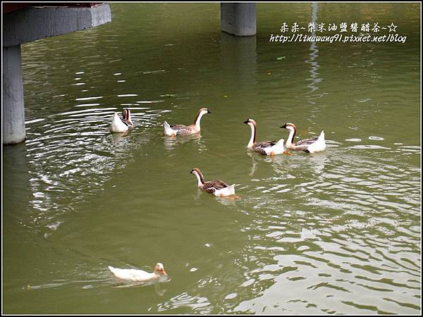 2010-0130-麗池公園-粉色和服外拍 (43).jpg
