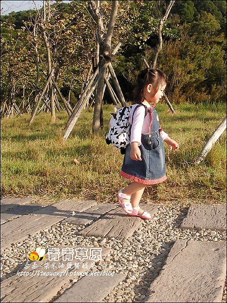 新竹-青青草原-2009-1108 (21).jpg