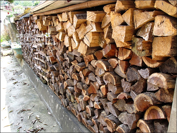 2010-0421-紙糊古道-油桐花之旅 (3).jpg