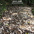 2010-0421-紙糊古道-油桐花之旅 (28).jpg