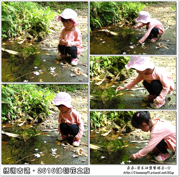 2010-0421-紙糊古道-油桐花之旅 (44).jpg