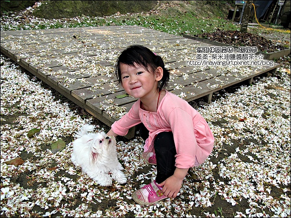 2010-0421-紙湖農場-油桐花之旅 (26).jpg