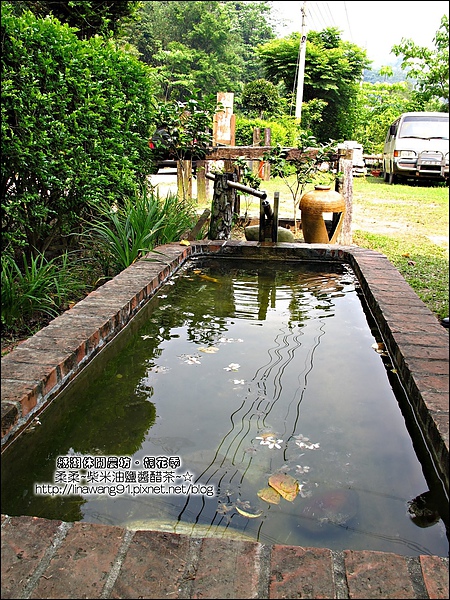 2010-0421-紙湖農場-油桐花之旅 (36).jpg