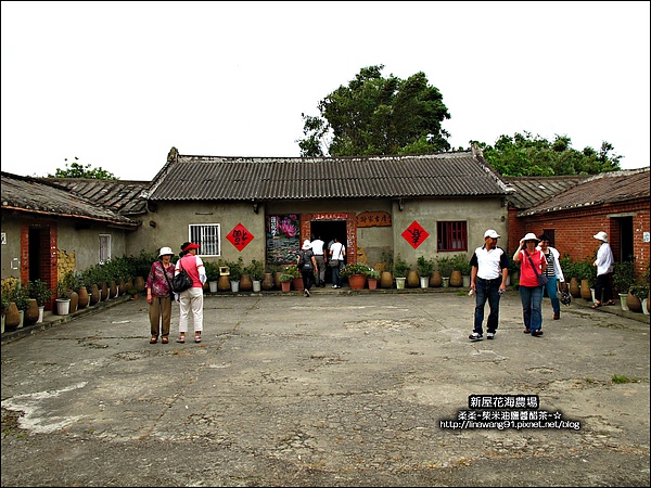 2010-0620-新屋花海農場 (13).jpg