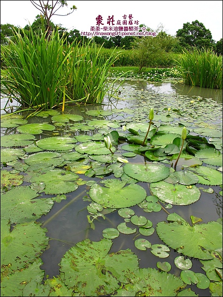 苗栗-公館-棗莊-2010-0702 (27).jpg