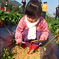 2011-0102-大湖採草莓 (26).jpg