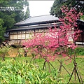 2011-0223-新竹公園-賞櫻花 (16).jpg