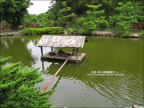 九芎湖-鴛鴦池-2010-0726 (7).jpg