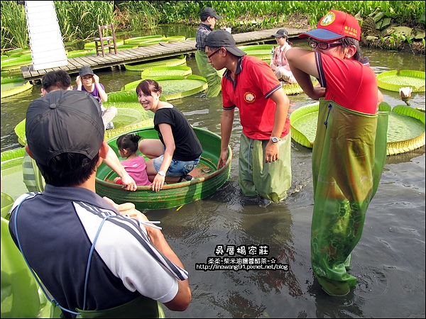 吳厝楊家莊-2010-0815 (16).jpg