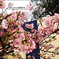 2011-0223-新竹公園-賞櫻花 (10).jpg