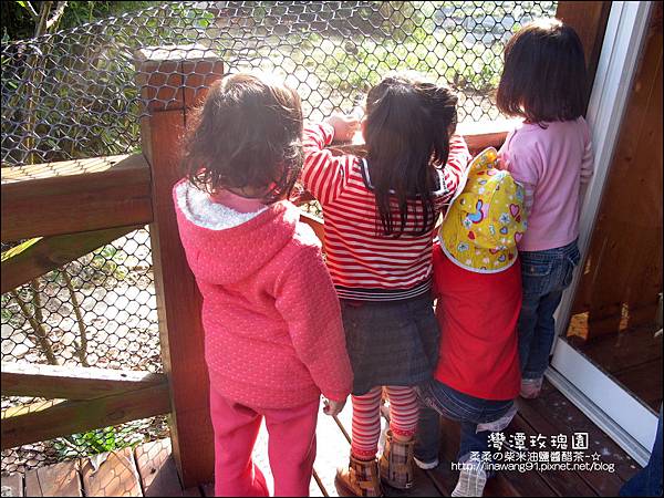 2011-0226-灣潭玫瑰草莓園 (36).jpg
