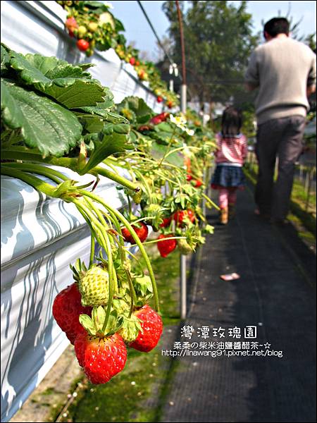 2011-0226-灣潭玫瑰草莓園 (7).jpg