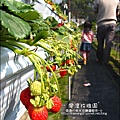 2011-0226-灣潭玫瑰草莓園 (7).jpg