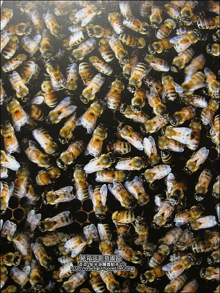 2010-0921-紙箱王創意園區 (22).jpg