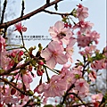 2011-0223-新竹公園-賞櫻花 (11).jpg