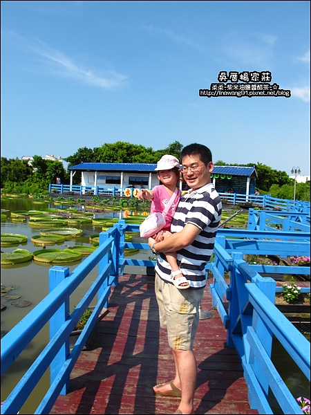 吳厝楊家莊-2010-0815 (4).jpg